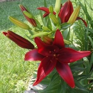 Meet your Posher, Cathy